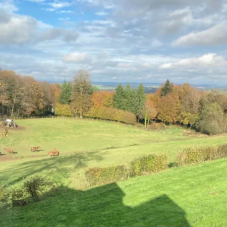 ベッド・アンド・ブレックファスト Ash Tree B&B *